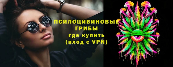 стафф Аркадак