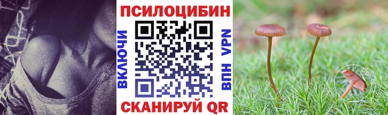 Галлюциногенные грибы мицелий  KRAKEN ССЫЛКА  Магас  закладка 